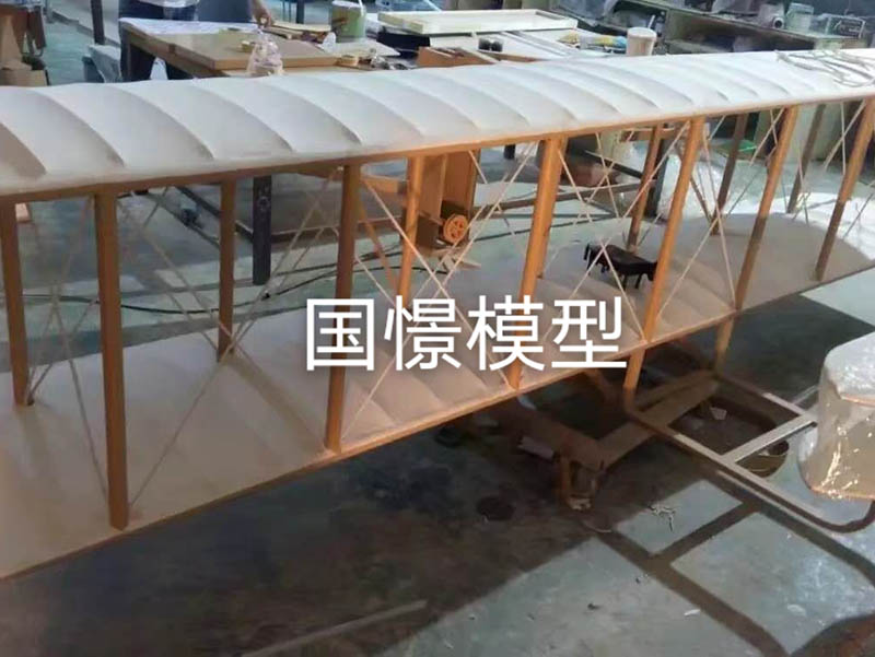 甘洛县飞机模型