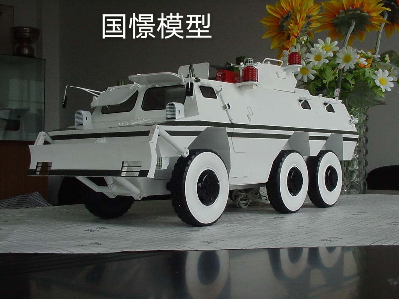 甘洛县军事模型